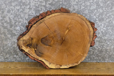 Round Cut Salvaged Live Edge White Oak DIY Charcuterie Board 7391